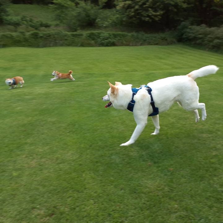 77d49968 abd6 4a25 a4a0 e5a4321be193 1686042796051