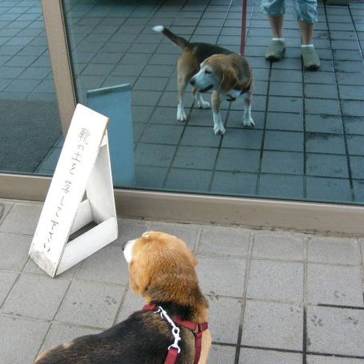 77d499d6 532b 43bd ae1d 9099060f1197 1642468282010