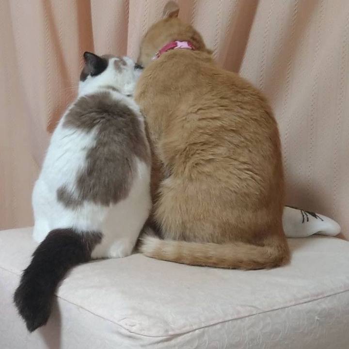 77d4eade 0cf9 4cbd a5bc f3381a86d3d5 1760884653690