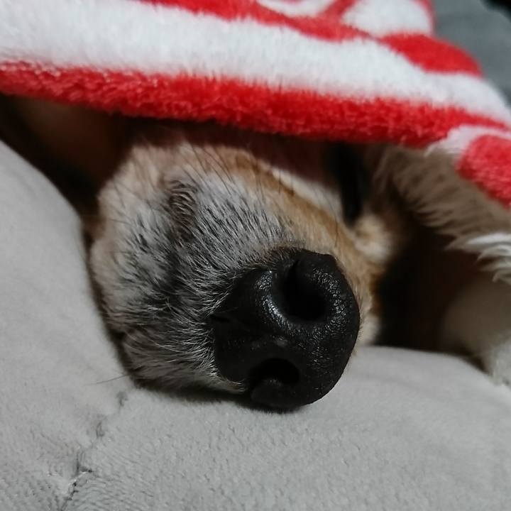 77d53c05 fa63 4561 a581 1759cd1fe121 1515344860923