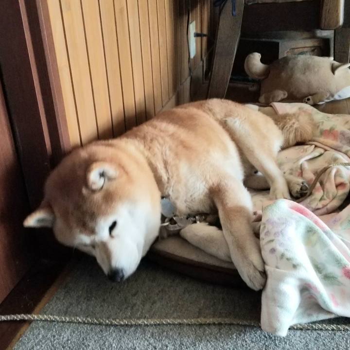 77d548b3 fffa 4bd1 bab4 69eb67c05b2e 1649142683071