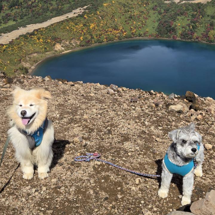 77d5560a 704e 49a0 bc14 2e6a330897b3 1759795810760