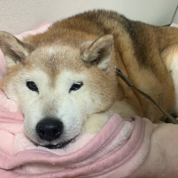 77d55d3f 1b89 4119 bcbd a480303d7e63 1669589239895