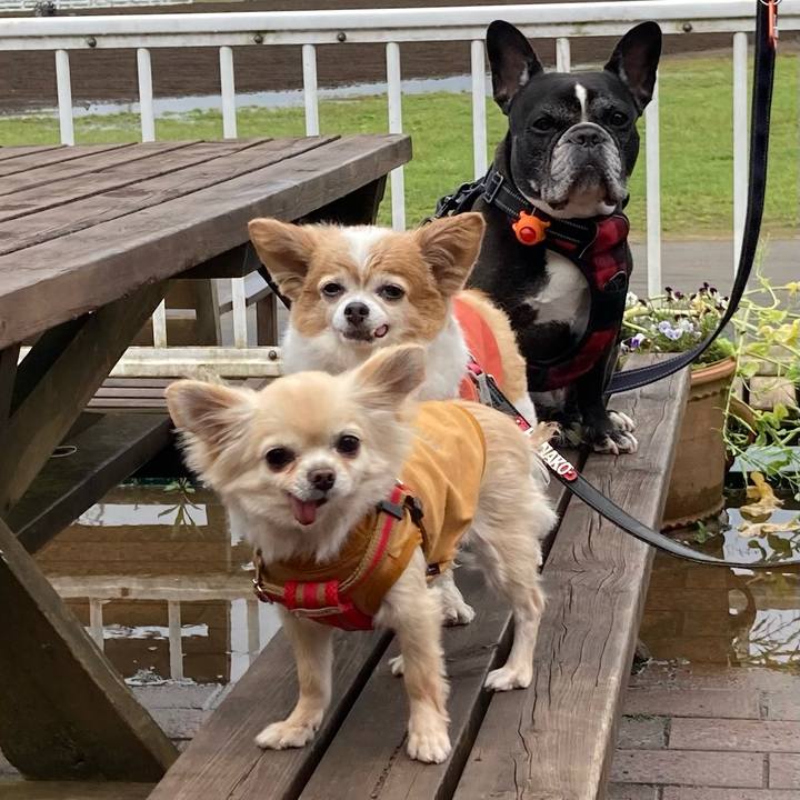 77d5bb1a d694 4b1e b73a 39129337bd44 1652236494433