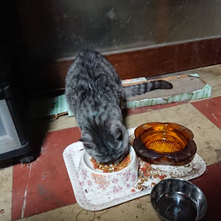 77d5ef6f 7041 4f65 b25b 5385a56d0aeb 1571342555541