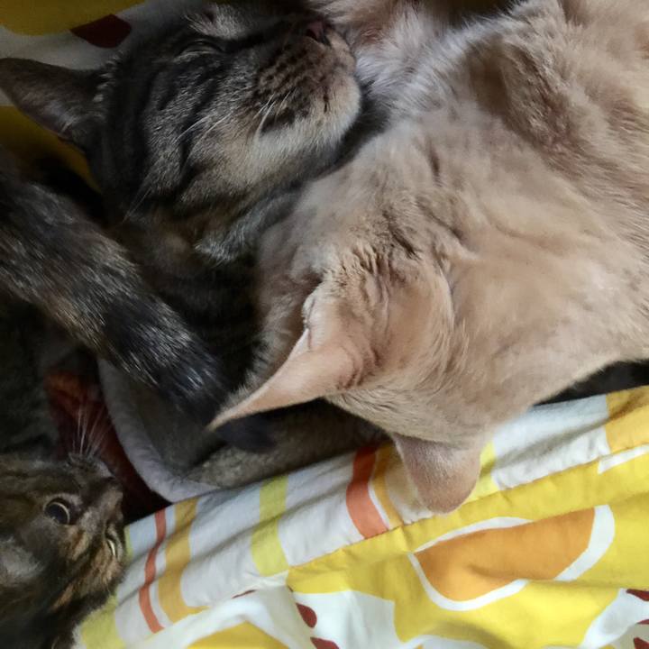 77d5f074 e6bf 4166 9841 5e2e4849e3bd 1525039639991