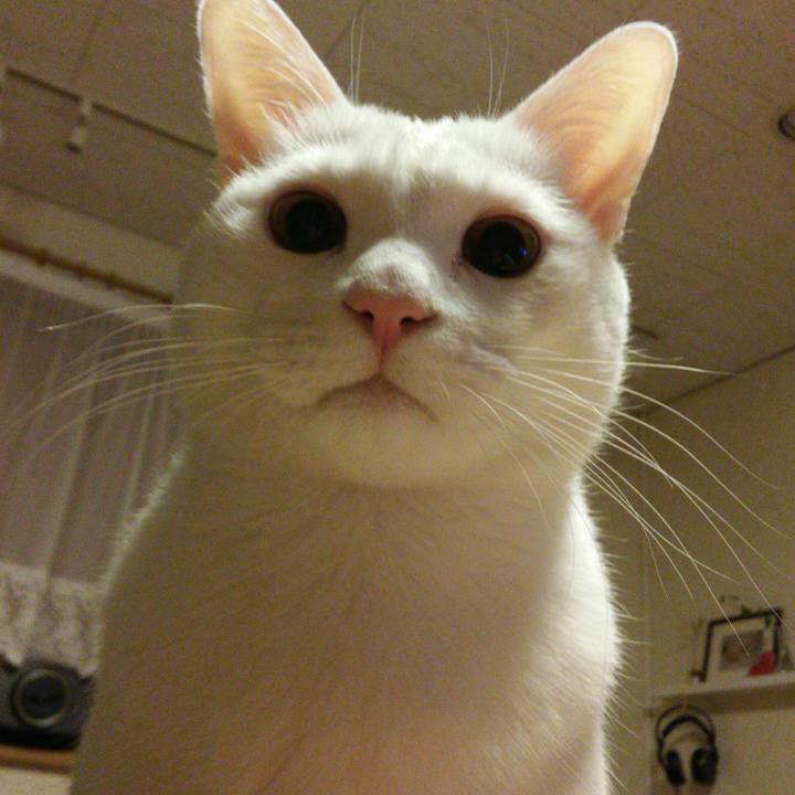 77d5fbad 9371 4933 83a5 0b645e487c13 1511787921405