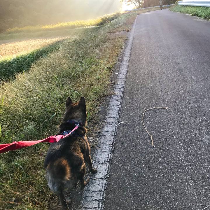 77d662f8 eed9 4c75 83e4 f23edc4a7340 1508977502257