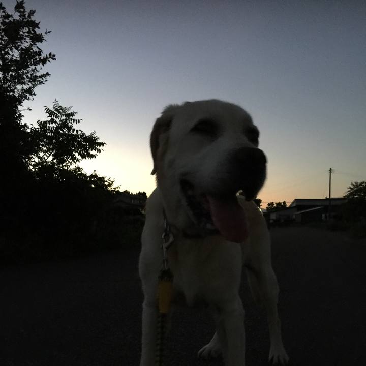 77d667d6 63a8 4a9a b022 ce37f6e87f09 1532862175614