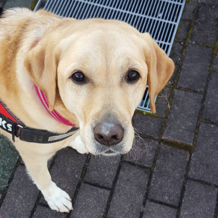 77d6b650 b787 4412 8e0b 401a33e0fa49 1545962379928