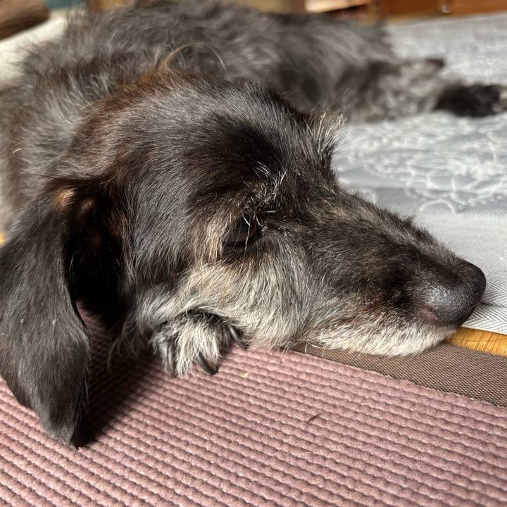 77d6c647 53df 496e a324 1363962ccaac 1751843887528