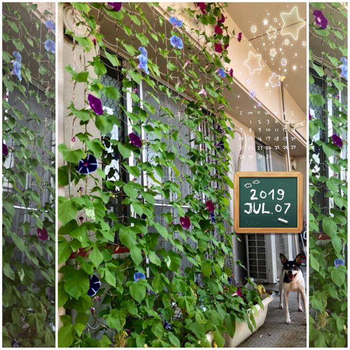 77d6cf55 df99 4e2b 9757 b6723c00f570 1562473626445