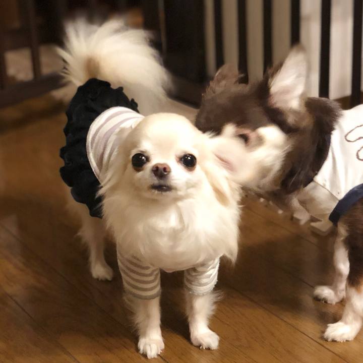 77d6d1cf 377d 4e63 a94c c12d66c9d81b 1531872534474