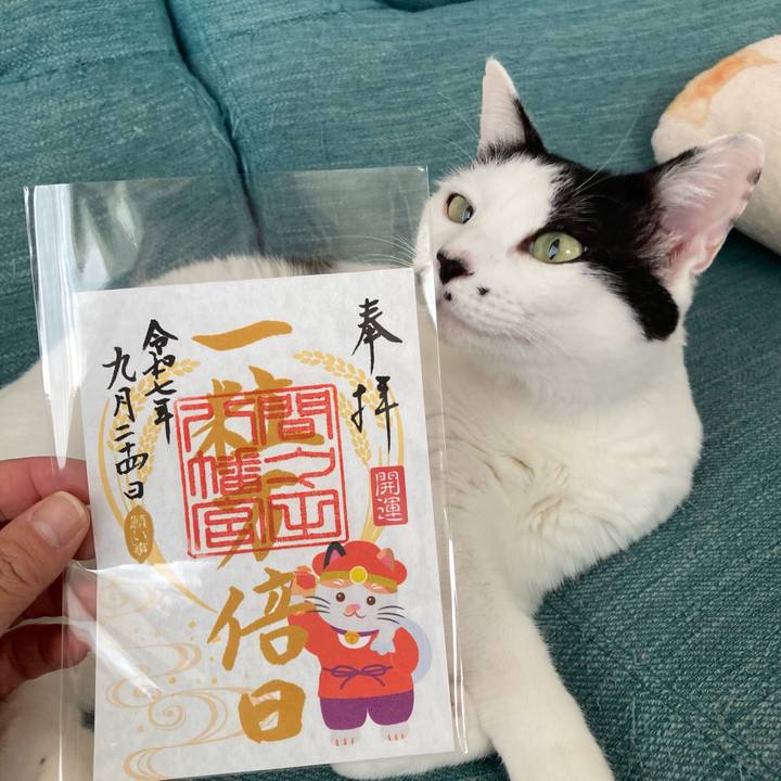 77d7074f 6745 4013 a857 2da6ba47b9d7 1758679845629