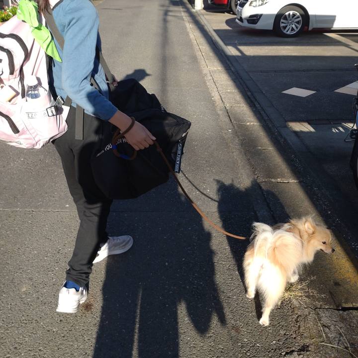 77d7090e 537b 4945 adda 09162b3e3428 1758680174613