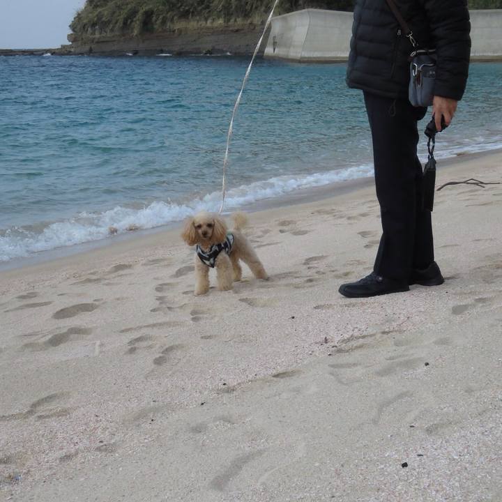 77d71706 051a 4c08 ba0e d1016dd2e3c0 1578008138939