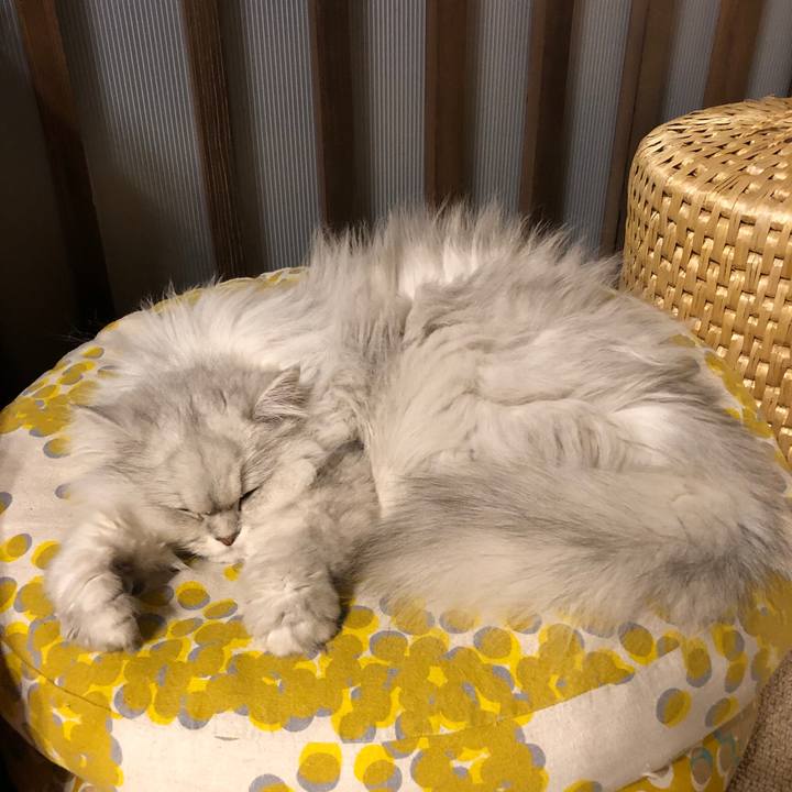 77d7198b e99a 4381 b31a 442a4a59ba78 1553679464545