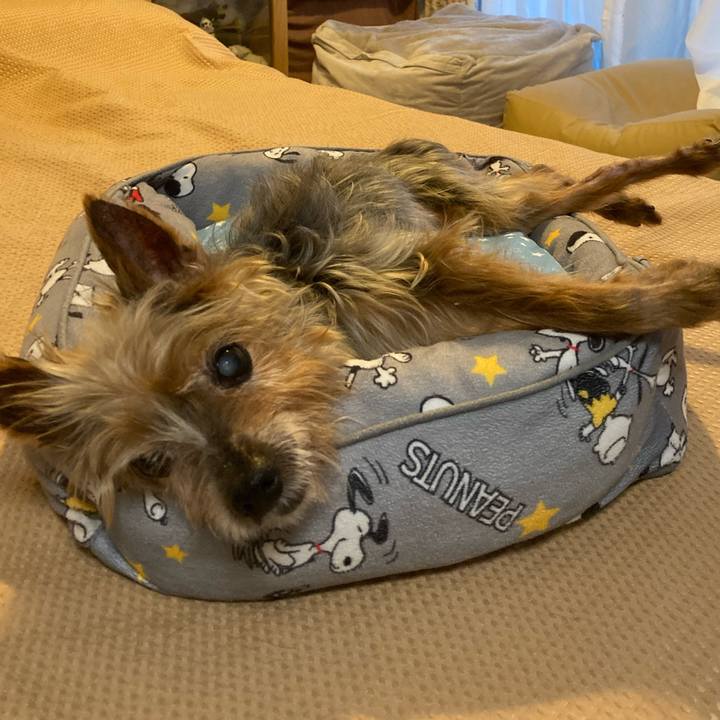 77d71e1e 89af 4a58 ab9b 26502d2d95a7 1700222181686