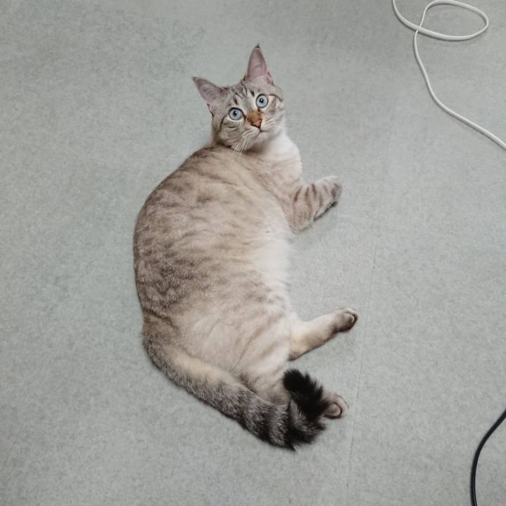 77d736bd 806f 417c ab77 98a4299b61f8 1566735493586