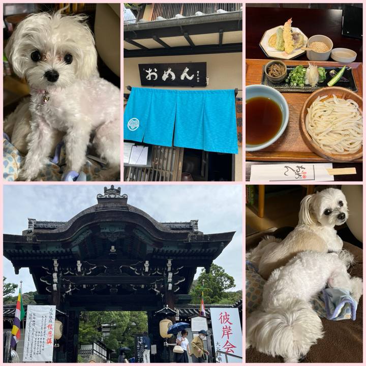 77d73ebf 97f0 450f b1e7 cdf3441f40ec 1727255681753