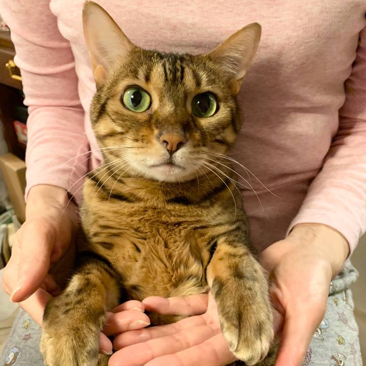 77d74a13 639e 4e31 954f 0ed3c9a0273b 1572585898828