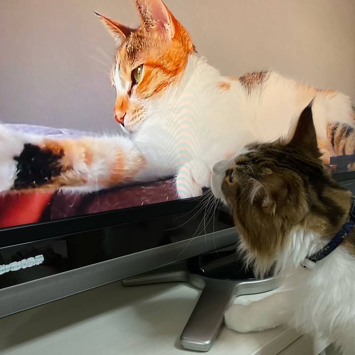 77d79510 32aa 4695 b2b9 5072f9b79a45 1660135119926