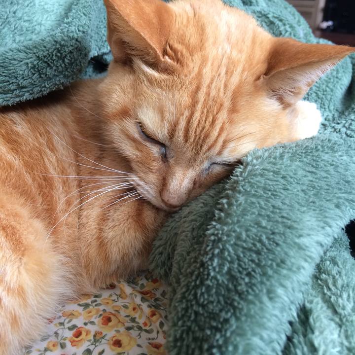 77d7b366 0a80 4267 9010 187c2251d03f 1537539609262