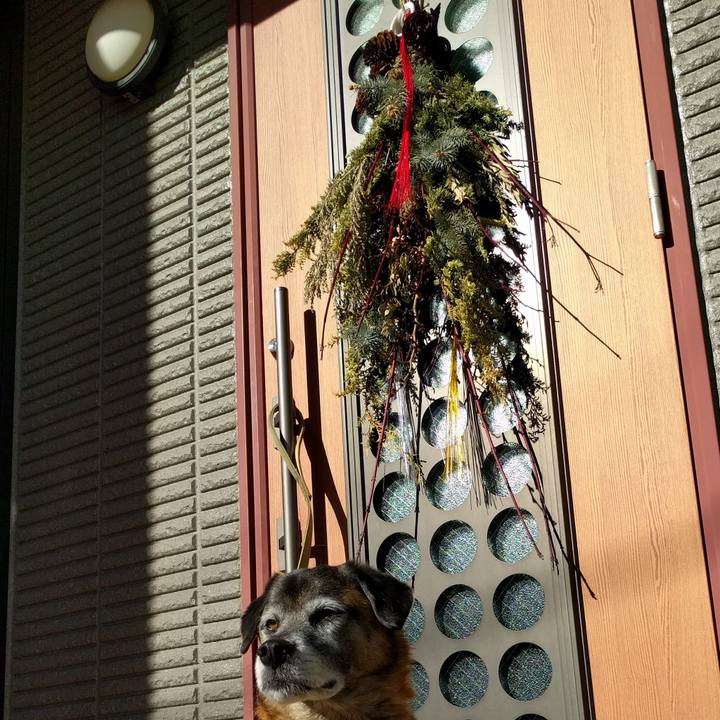 77d7c6e4 2013 4b92 9fc0 f8aa2600f014 1514437940488