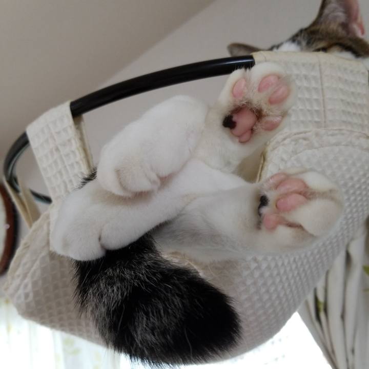 77d81b37 2512 4ce8 b183 970d77f62e6b 1567324059451