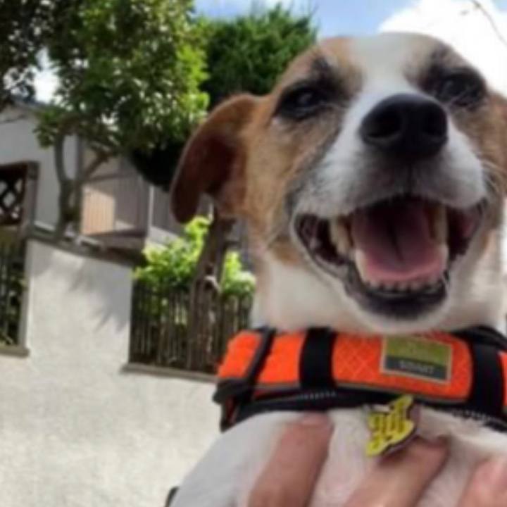 77d84824 7dc6 4394 af61 83ffeb20452b 1662624530088