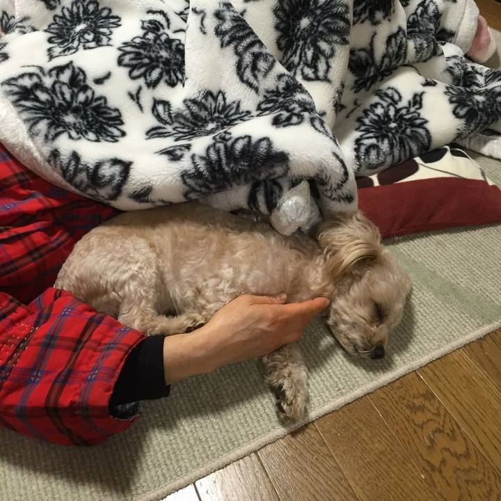 77d867b1 b195 4694 9324 4d8a790a2b50 1545571677362