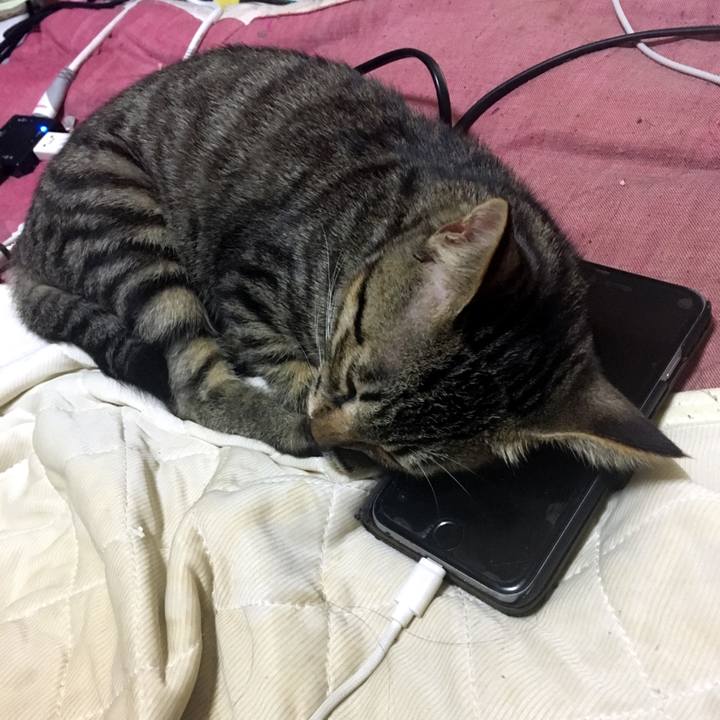 77d870ed 867f 4974 ab77 c0b301d4d0a1 1539127188105