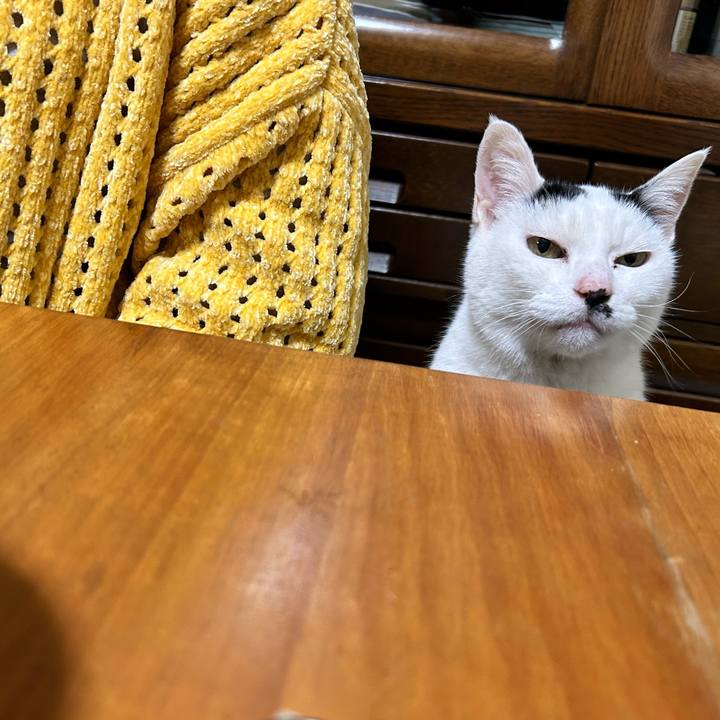 77d889c2 0c49 4217 acbb 5aa0f1ae402c 1767534224160