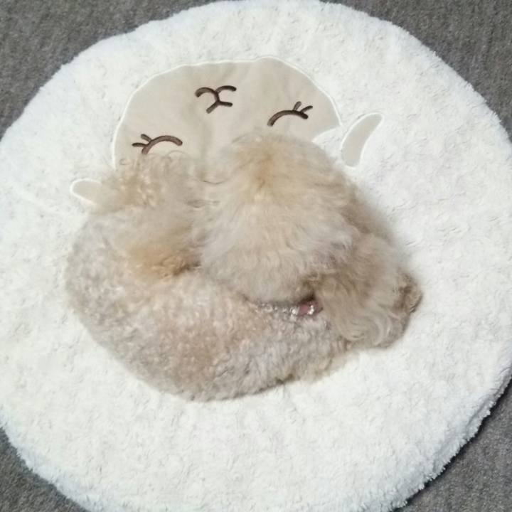 77d8a75f b6b5 4d4f bdb7 2122f1dedc40 1531228734948