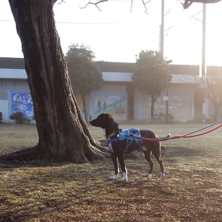 77d8b05d 25d2 4ad2 bec4 69167ba5a631 1611534198580