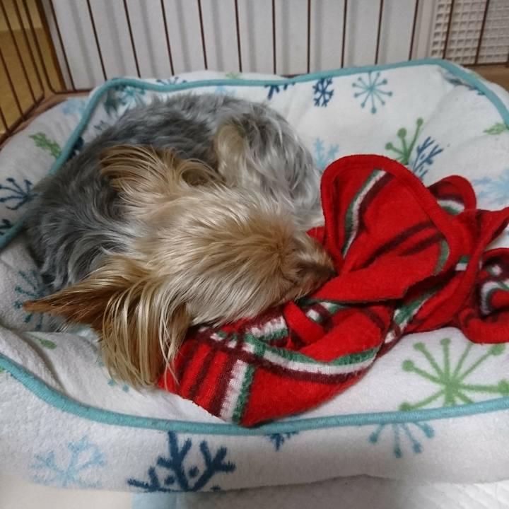 77d8cbf0 947f 45a8 b01d 763d397ac553 1528885213508