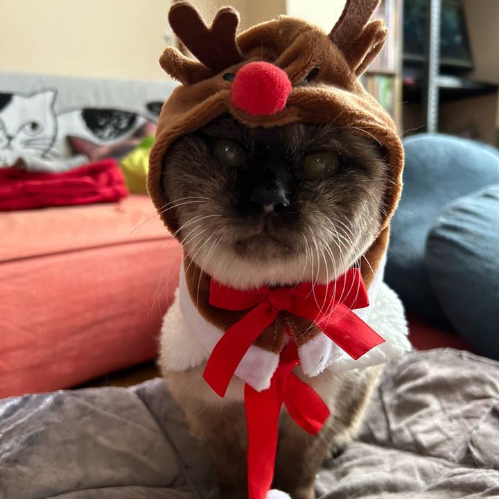 77d8dd49 004d 4b3b ac96 79b68cee11be 1703380803880