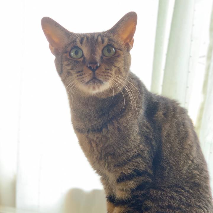 77d8e515 479e 45e8 acaf 8556200961b7 1599182391645