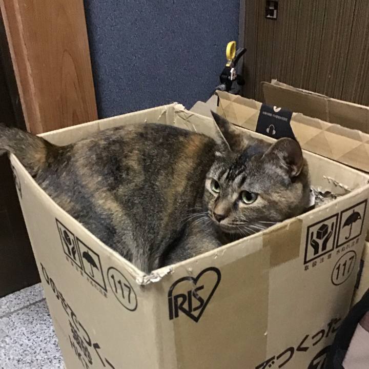 77d8f4b1 d303 4d68 a18b a60134a8d7cf 1692705128076