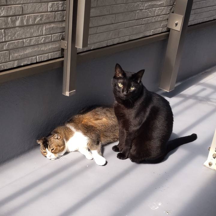 77d8ffa5 38ae 4736 ba87 c7889963affc 1759720648510