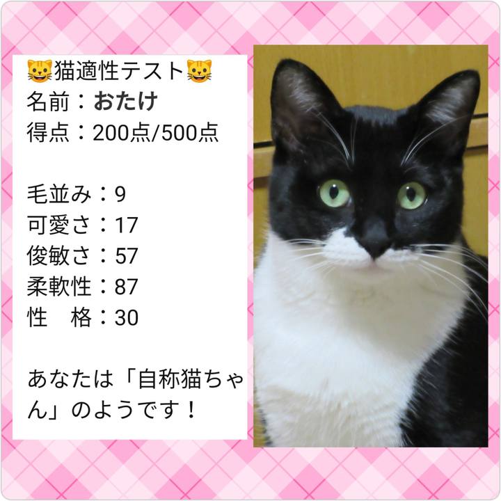 77d94598 528f 44de 8c3d f9446167bf06 1614305090951