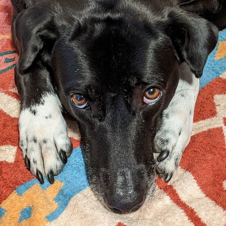 77d96fb5 5c9b 48cd 93bc b266c39427c9 1654384863432