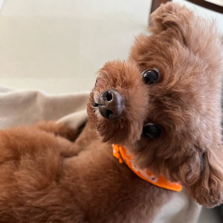 77d98675 6b73 4a67 a51d b63eb9f62058 1681688875974