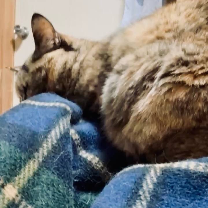 77d99248 70a1 4756 956c cf8a12513928 1771473649918