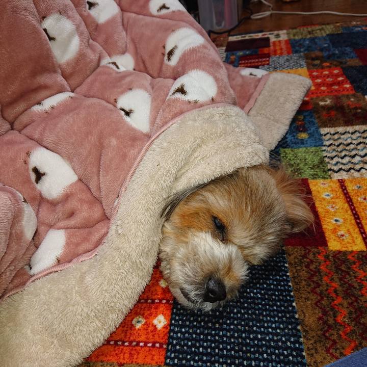 77d9b614 95aa 4215 9948 7f2e0423cdc0 1607253874073