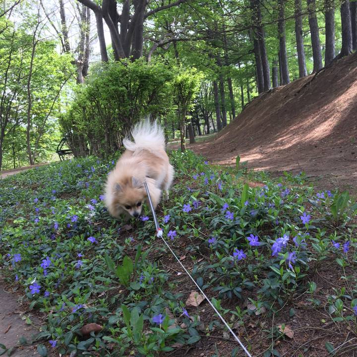 77da0436 0b24 45db 82ed 5ea00f5e8025 1526507855856