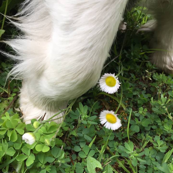 77da1768 7cef 4844 b8d8 0b079490c874 1585361068424