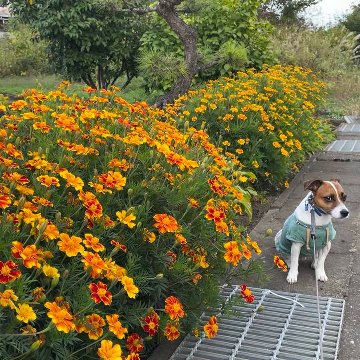 77da8039 c23a 4cb5 8018 17f479b4064c 1633507784508