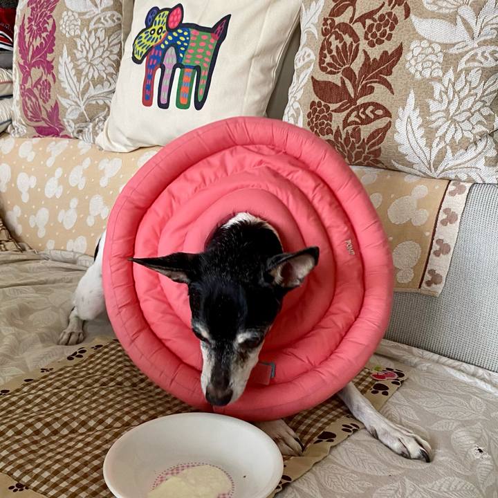 77dac13d e933 4d0e 8070 ea9953ff7e13 1632435799790