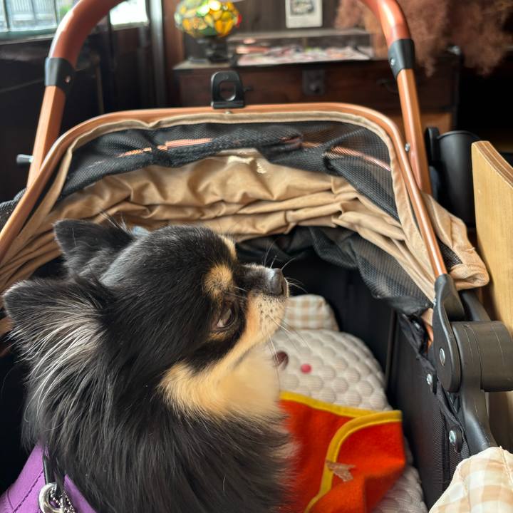 77dac56b e26b 46cf a6e5 be9029b8d1f6 1762833240895